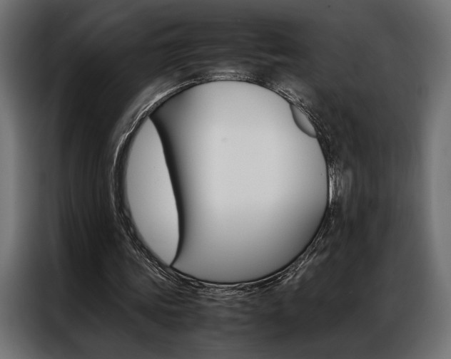 X0000086940339200704161040