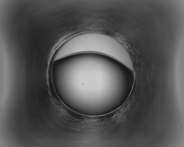 X0000086940340200704161040