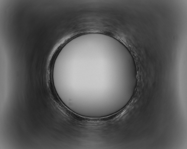 X0000086940342200704161040