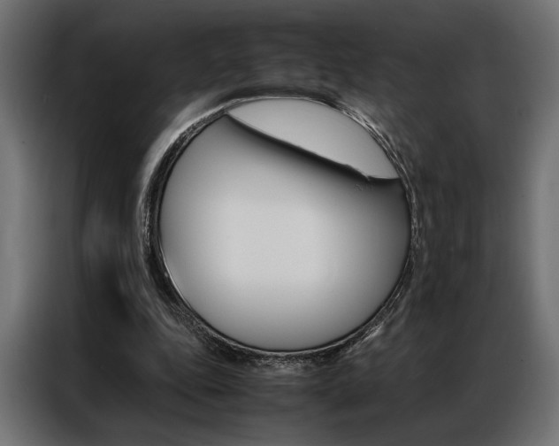 X0000086940343200704161040