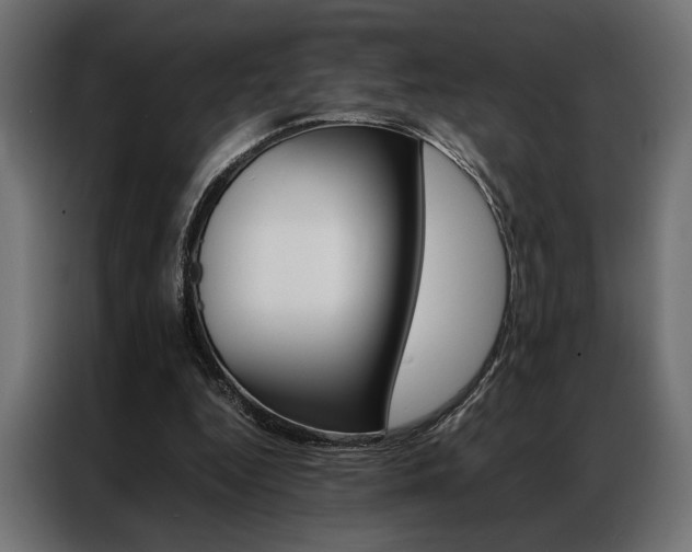 X0000086940344200704161040
