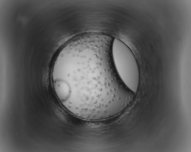 X0000086940346200704161040