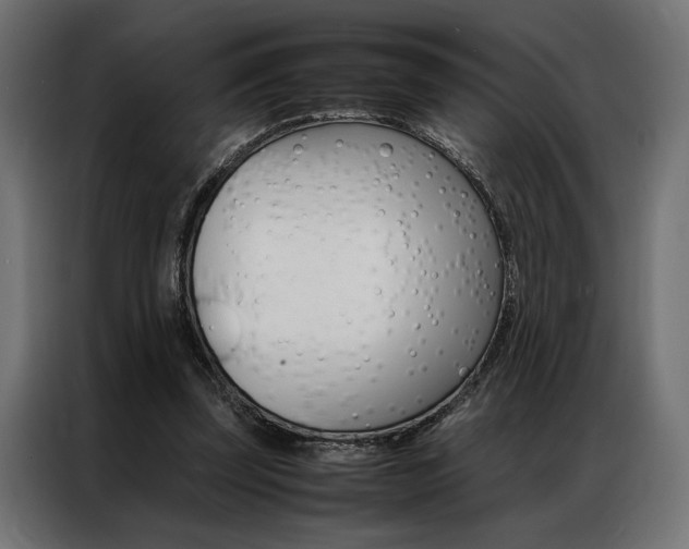 X0000086940347200704161040
