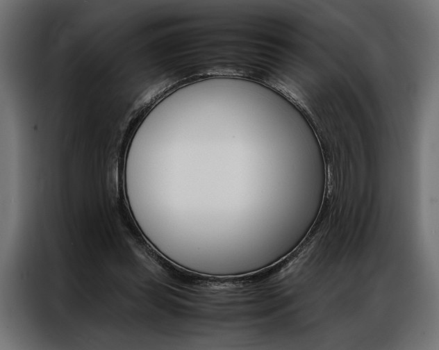 X0000086940349200704161040