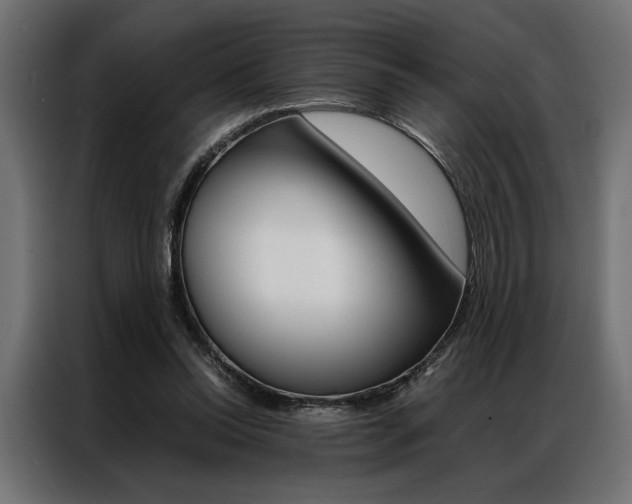X0000086940350200704161040
