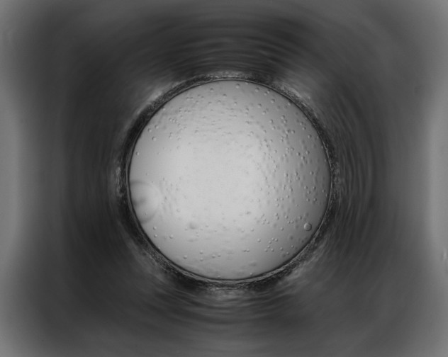 X0000086940351200704161040