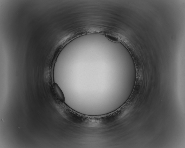 X0000086940352200704161040