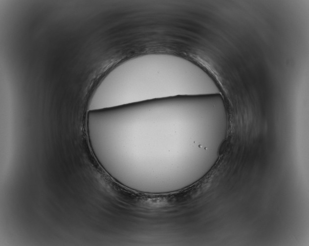 X0000086940353200704161040