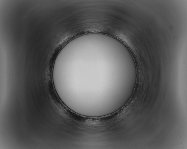 X0000086940354200704161040