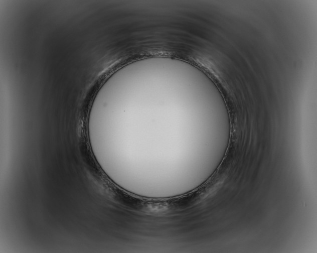 X0000086940355200704161040
