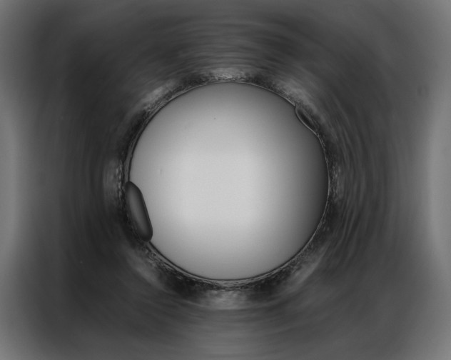 X0000086940356200704161040