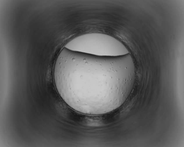 X0000086940359200704161040
