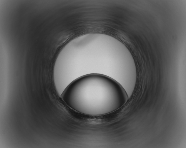 X0000086940362200704161040