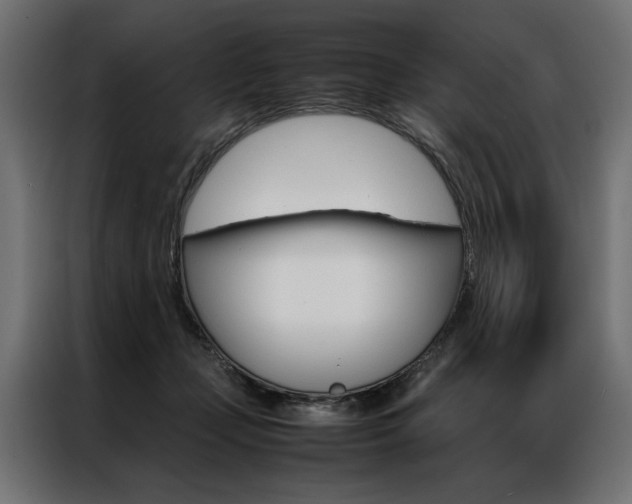 X0000086940365200704161040