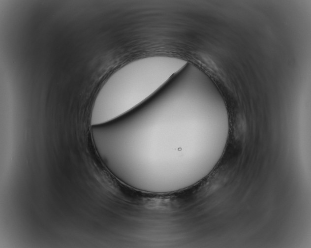 X0000086940366200704161040