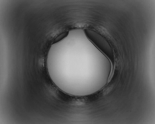 X0000086940368200704161040