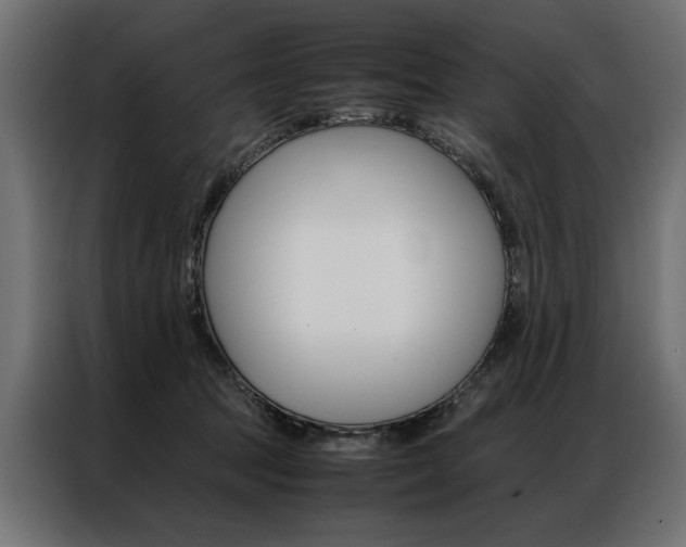 X0000086940369200704161040
