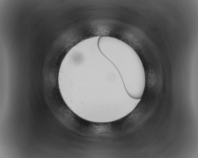 X0000086940370200704161040