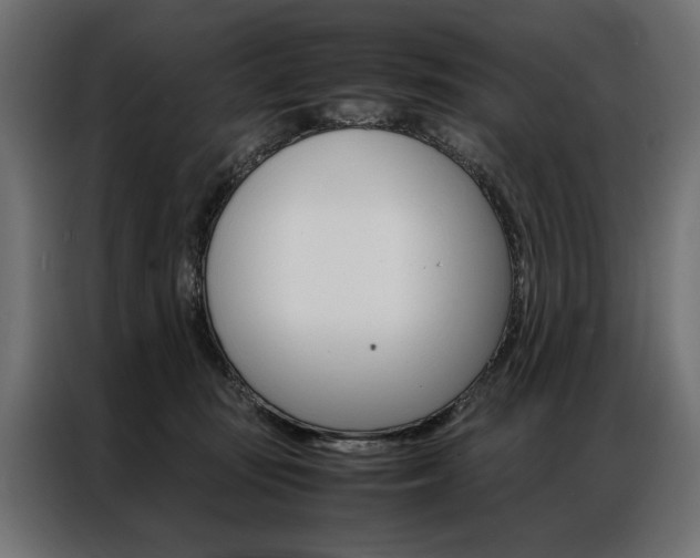 X0000086940371200704161040
