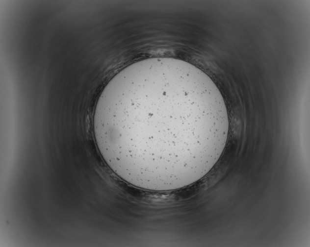 X0000086940375200704161040