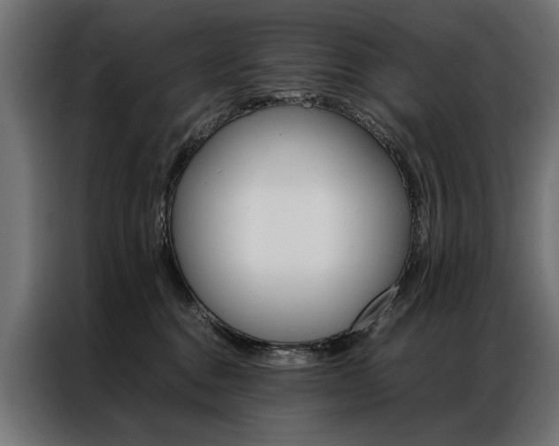 X0000086940376200704161040