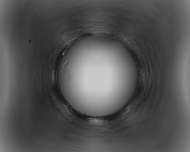 X0000086940380200704161040