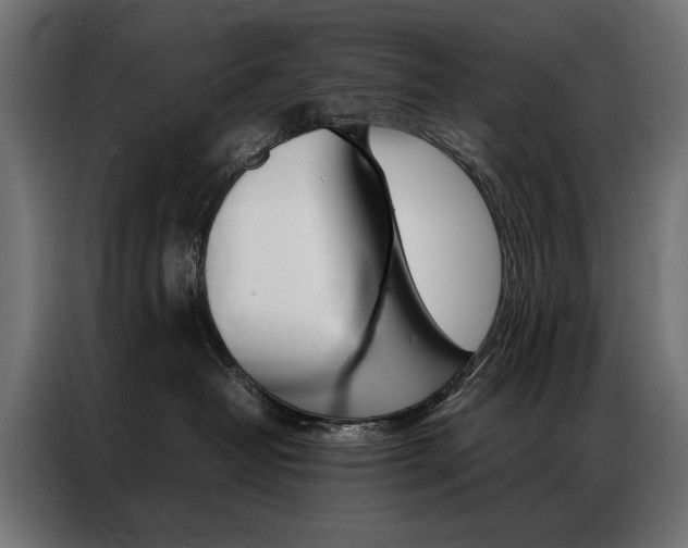 X0000086940382200704161040
