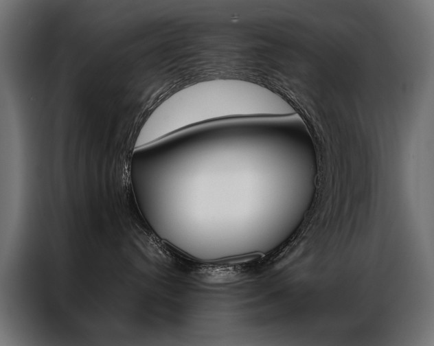 X0000086940384200704161040