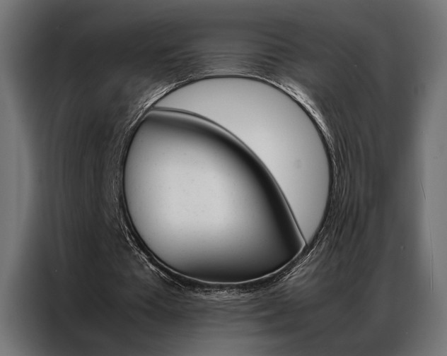 X0000086940385200704161040