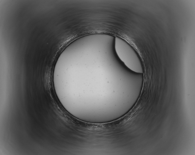 X0000086940386200704161040