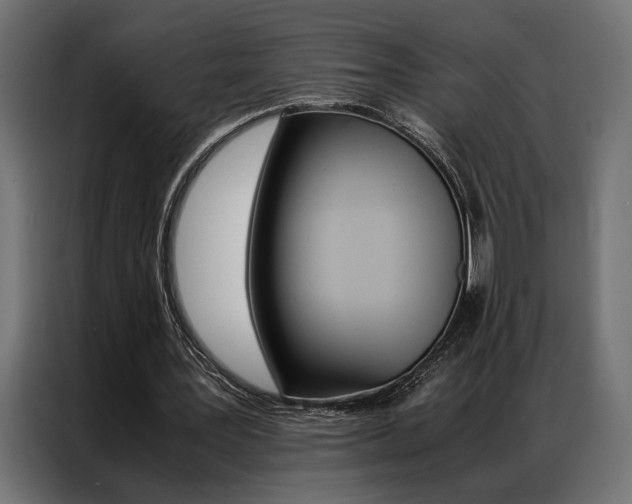 X0000086940387200704161040