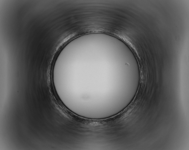 X0000086940390200704161040
