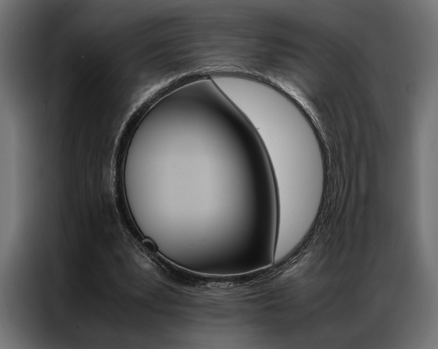 X0000086940391200704161040