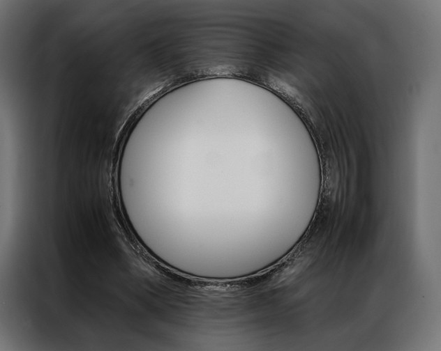 X0000086940394200704161040