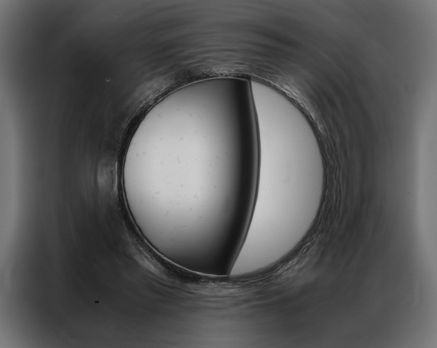 X0000086940397200704161039