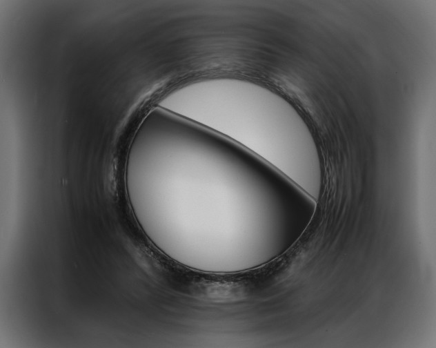 X0000086940400200704161039