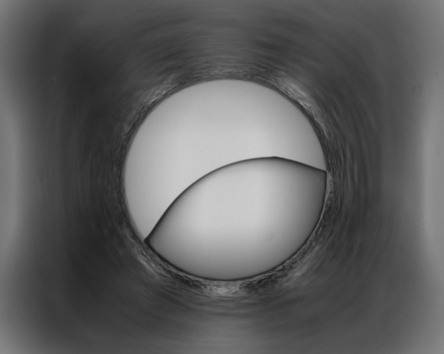 X0000086940401200704161039