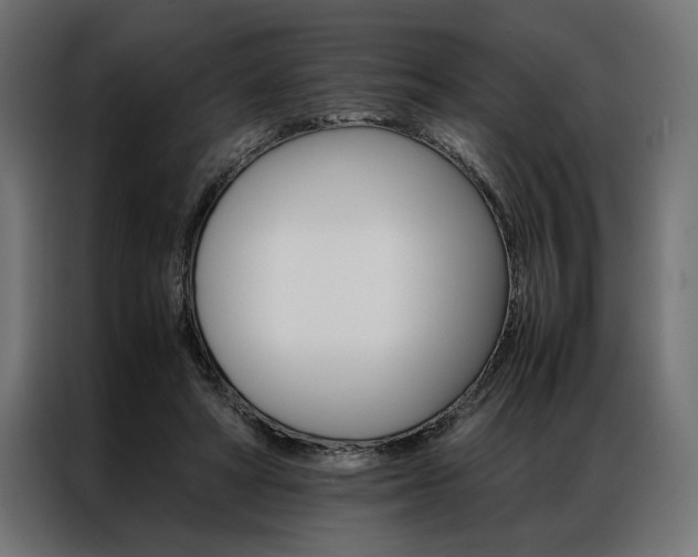 X0000086940402200704161039