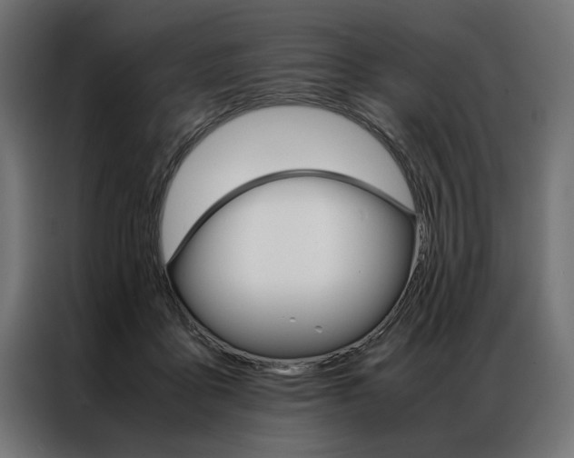 X0000086940411200704161039