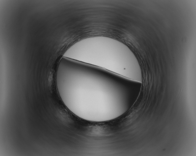 X0000086940412200704161039