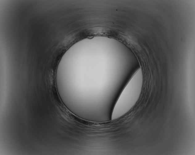 X0000086940413200704161039