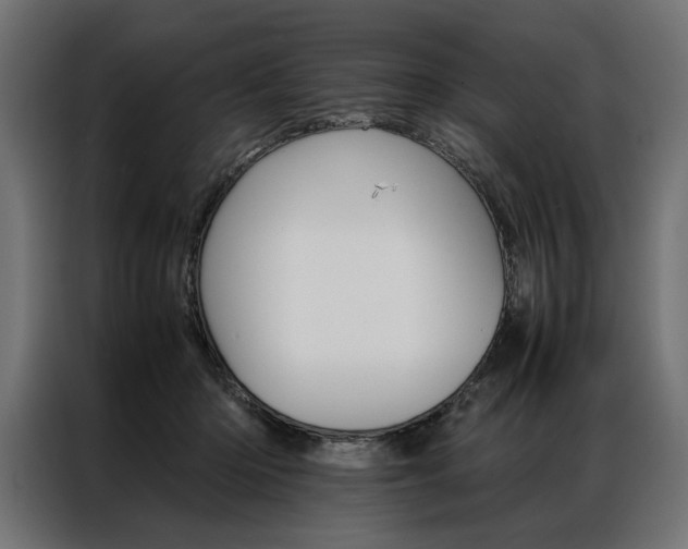 X0000086940414200704161039