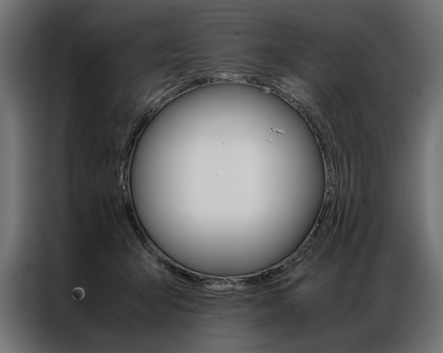 X0000086940415200704161039