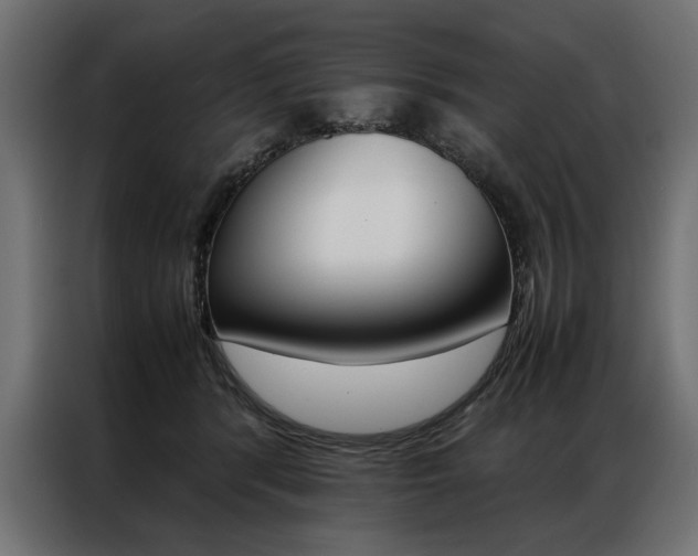 X0000086940416200704161039