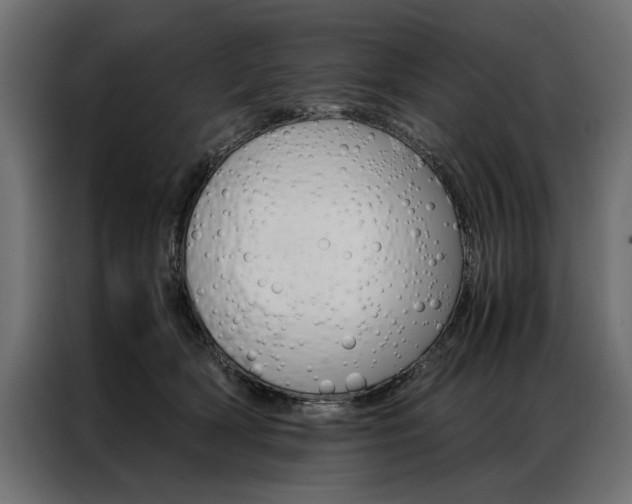 X0000086940418200704161039