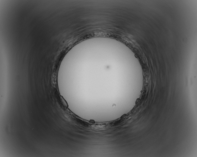 X0000086940419200704161039