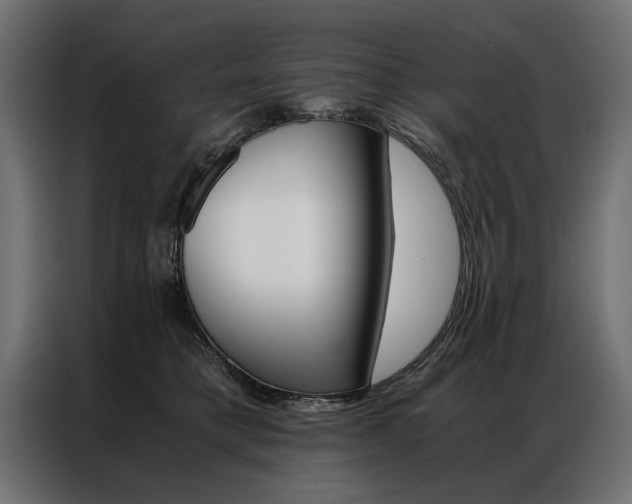 X0000086940421200704161039