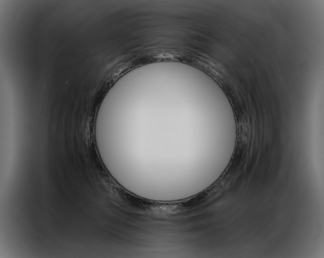 X0000086940422200704161039