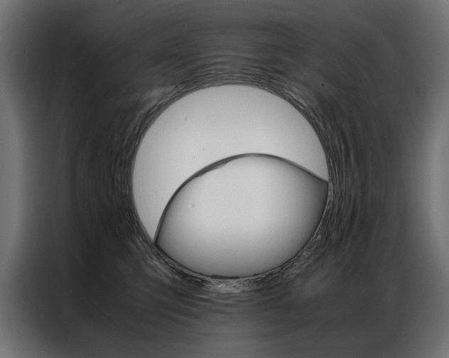 X0000086940423200704161039
