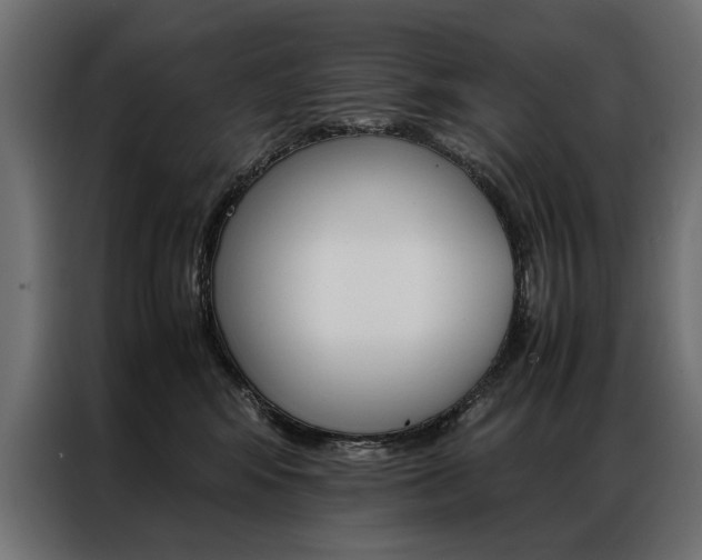 X0000086940424200704161039